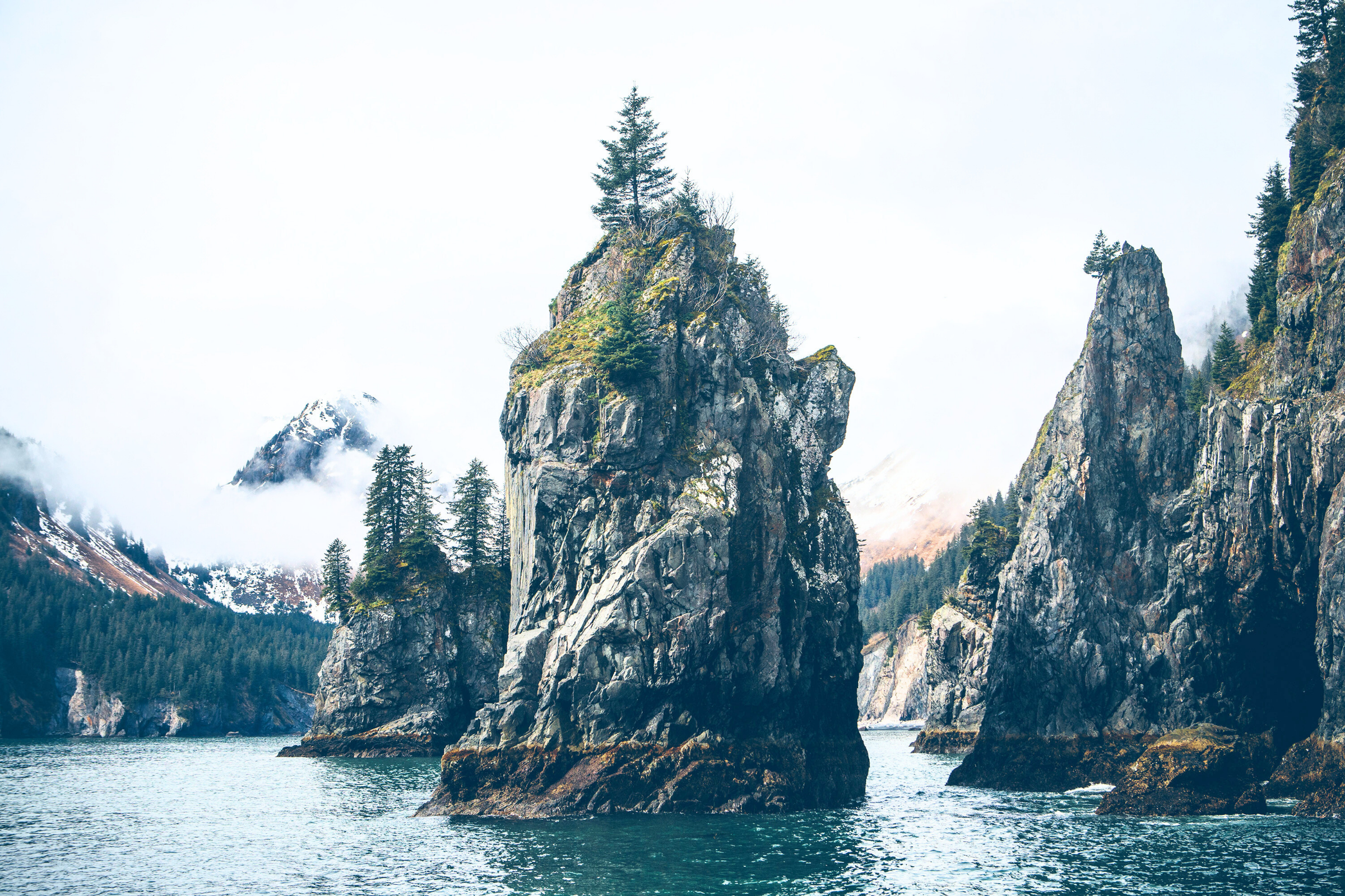 garibaldi fjord, alberto de agostini national park (3).webp